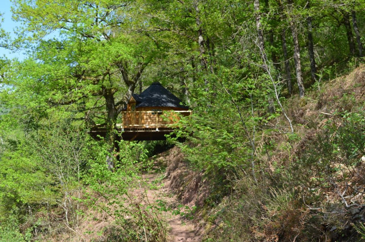 Ma Cabane En Aveyron Conques-en-Rouergue Εξωτερικό φωτογραφία