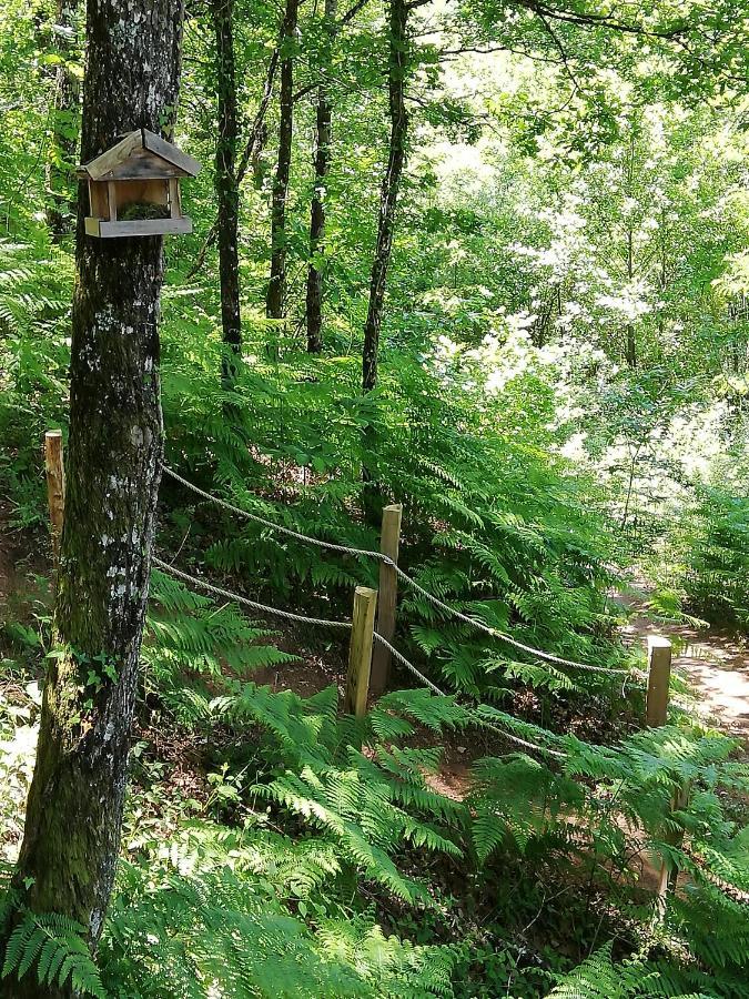 Ma Cabane En Aveyron Conques-en-Rouergue Εξωτερικό φωτογραφία